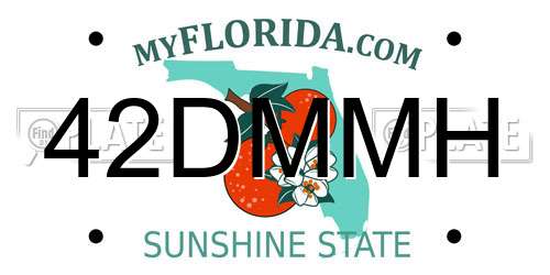 42DMMH Florida License Plate