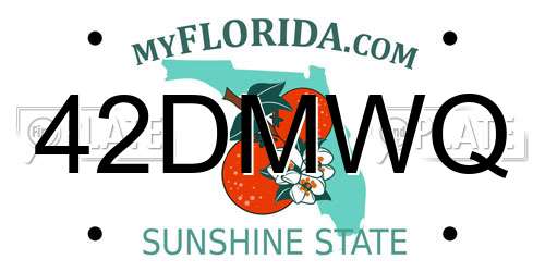 42DMWQ Florida License Plate