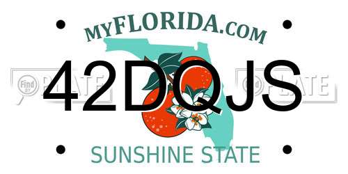 42DQJS Florida License Plate