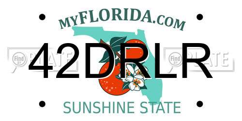 42DRLR Florida License Plate