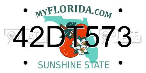 42DT573 Florida License Plate