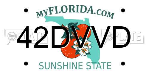 42DVVD Florida License Plate