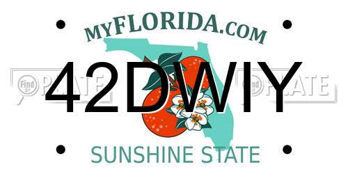 42DWIY Florida License Plate