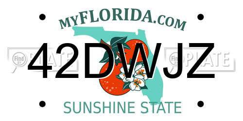 42DWJZ Florida License Plate
