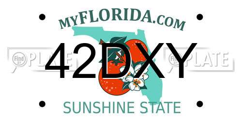 42DXY Florida License Plate