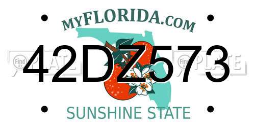 42DZ573 Florida License Plate