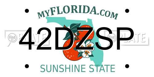 42DZSP Florida License Plate