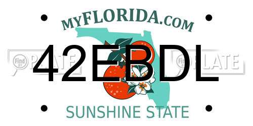 42EBDL Florida License Plate