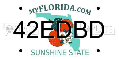 42EDBD Florida License Plate