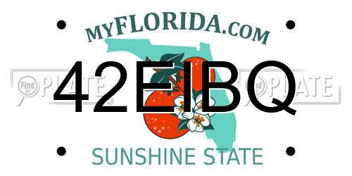 42EIBQ Florida License Plate