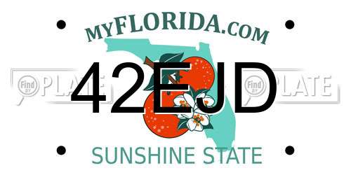 42EJD Florida License Plate