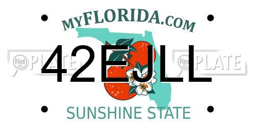42EJLL Florida License Plate