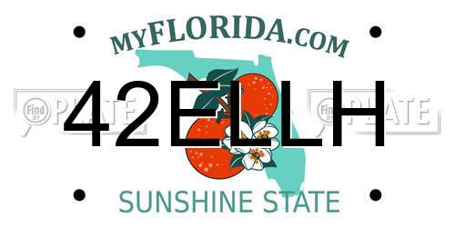42ELLH Florida License Plate
