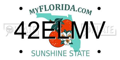 42ELMV Florida License Plate