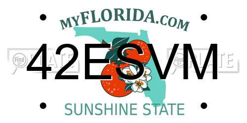 42ESVM Florida License Plate