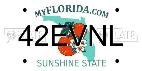 42EVNL Florida License Plate