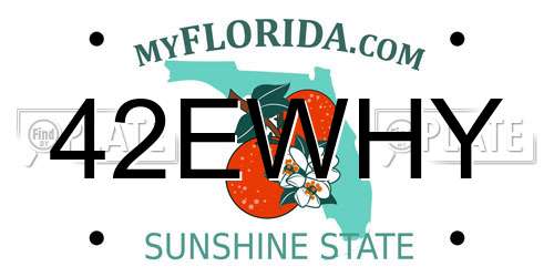 42EWHY Florida License Plate