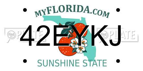 42EYKJ Florida License Plate
