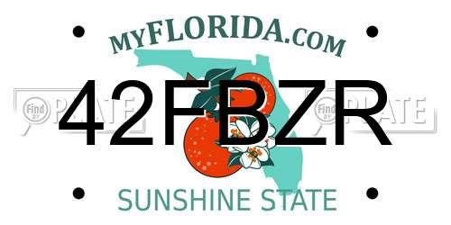 42FBZR Florida License Plate