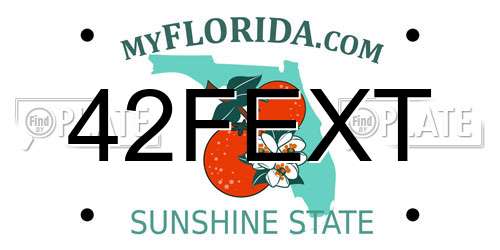 42FEXT Florida License Plate