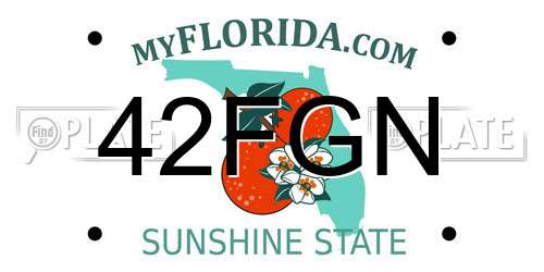 42FGN Florida License Plate