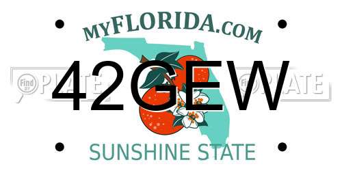 42GEW Florida License Plate