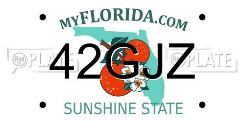 42GJZ Florida License Plate