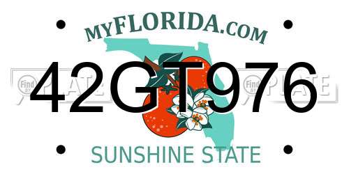 42GT976 Florida License Plate