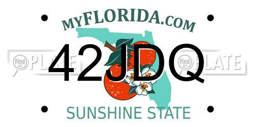 42JDQ Florida License Plate