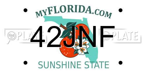 42JNF Florida License Plate