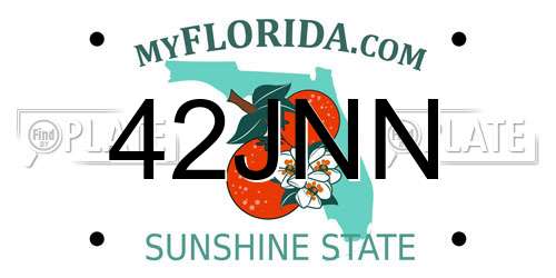 42JNN Florida License Plate