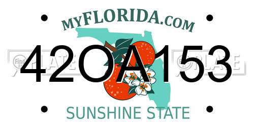 42OA153 Florida License Plate