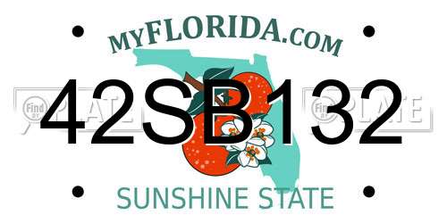 42SB132 Florida License Plate