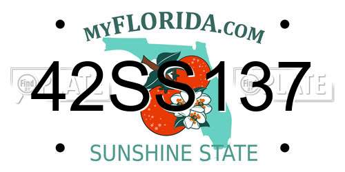 42SS137 Florida License Plate
