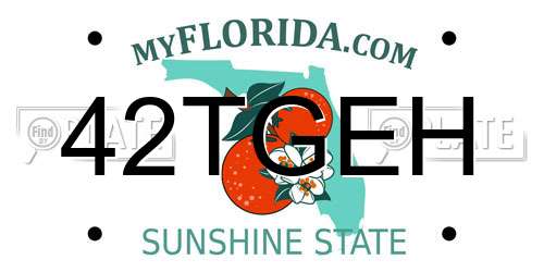 42TGEH Florida License Plate
