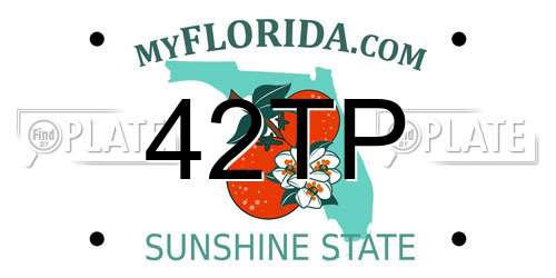 42TP Florida License Plate