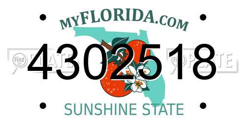 4302518 Florida License Plate