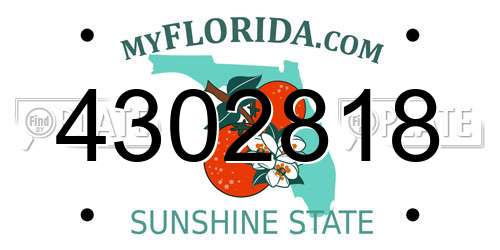 4302818 Florida License Plate
