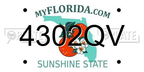 4302QV Florida License Plate