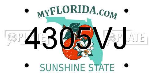 4305VJ Florida License Plate
