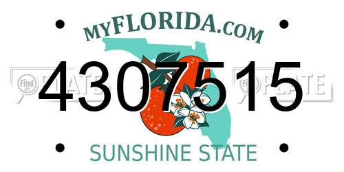 4307515 Florida License Plate