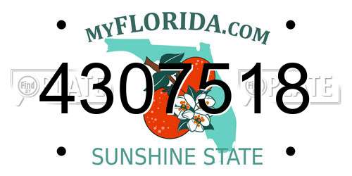 4307518 Florida License Plate