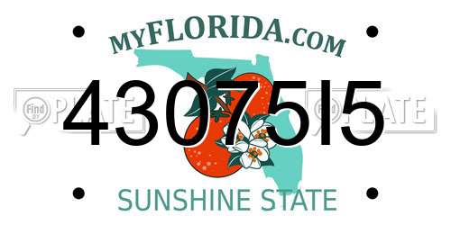 43075I5 Florida License Plate