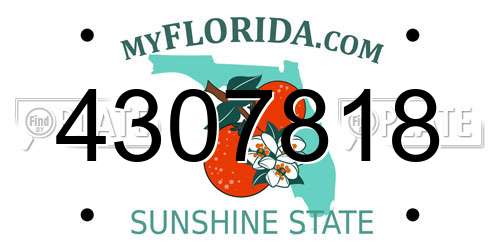 4307818 Florida License Plate