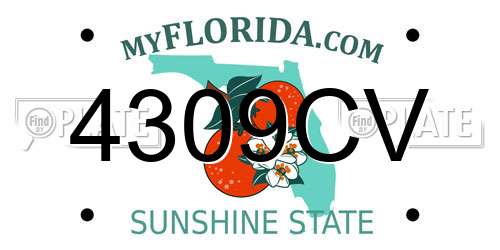 4309CV Florida License Plate