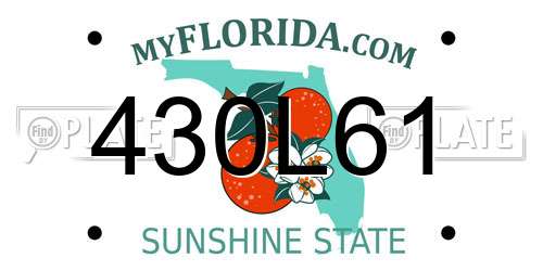 430L61 Florida License Plate