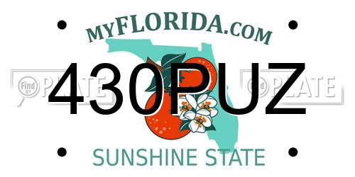 430PUZ Florida License Plate