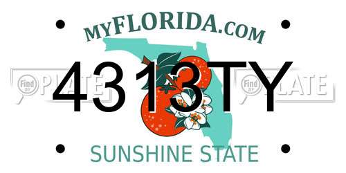 4313TY Florida License Plate
