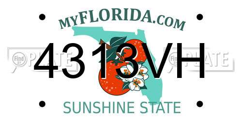 4313VH Florida License Plate