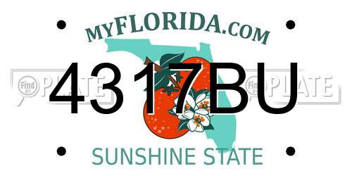 4317BU Florida License Plate